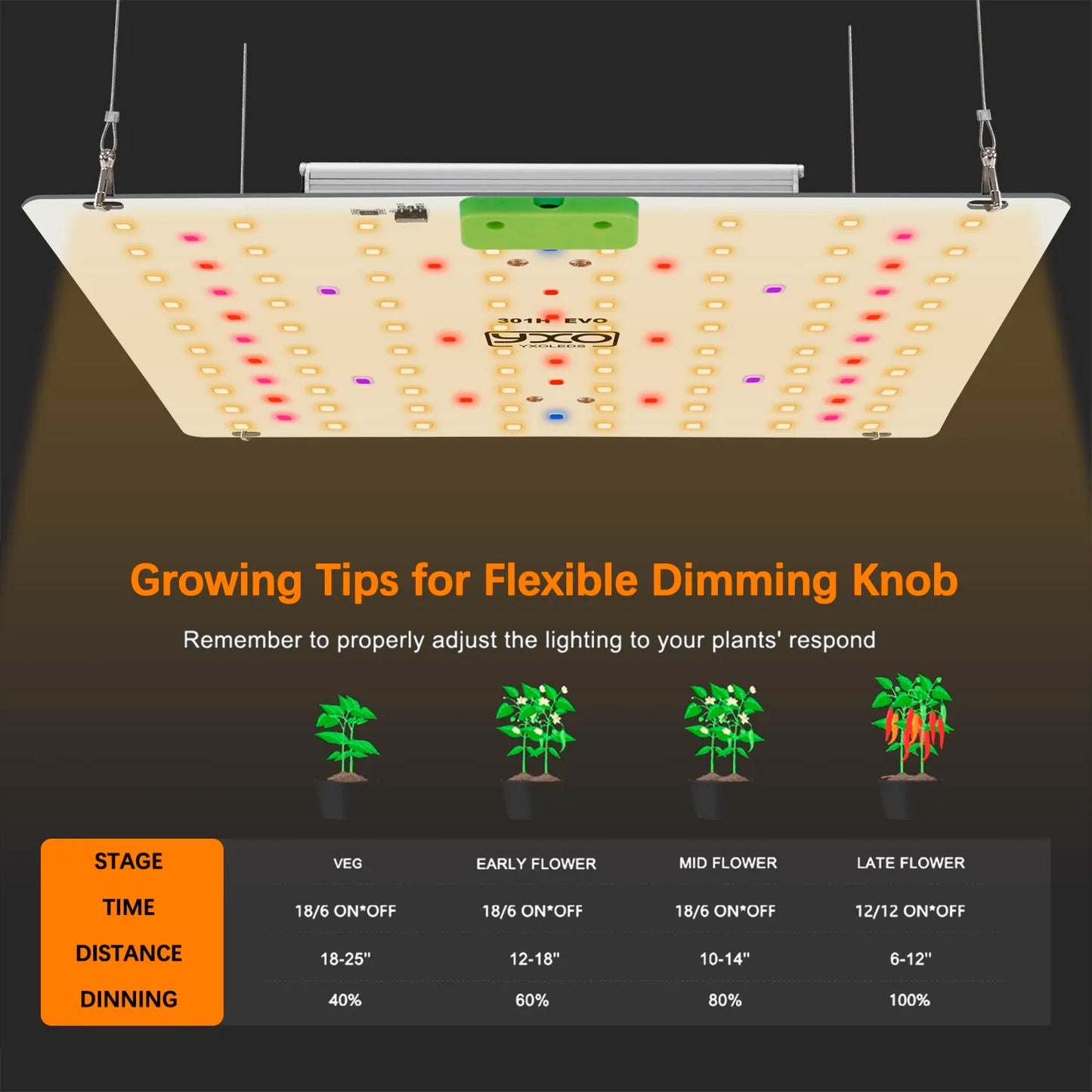 Premium 65W 120W LM301H EVO LED Growlicht