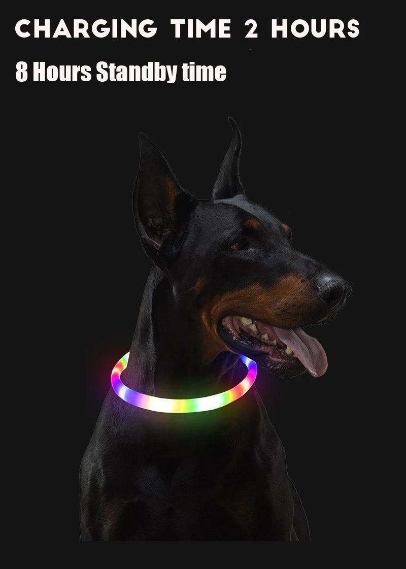 LED Hundehalsband mit 3 Modi / USB