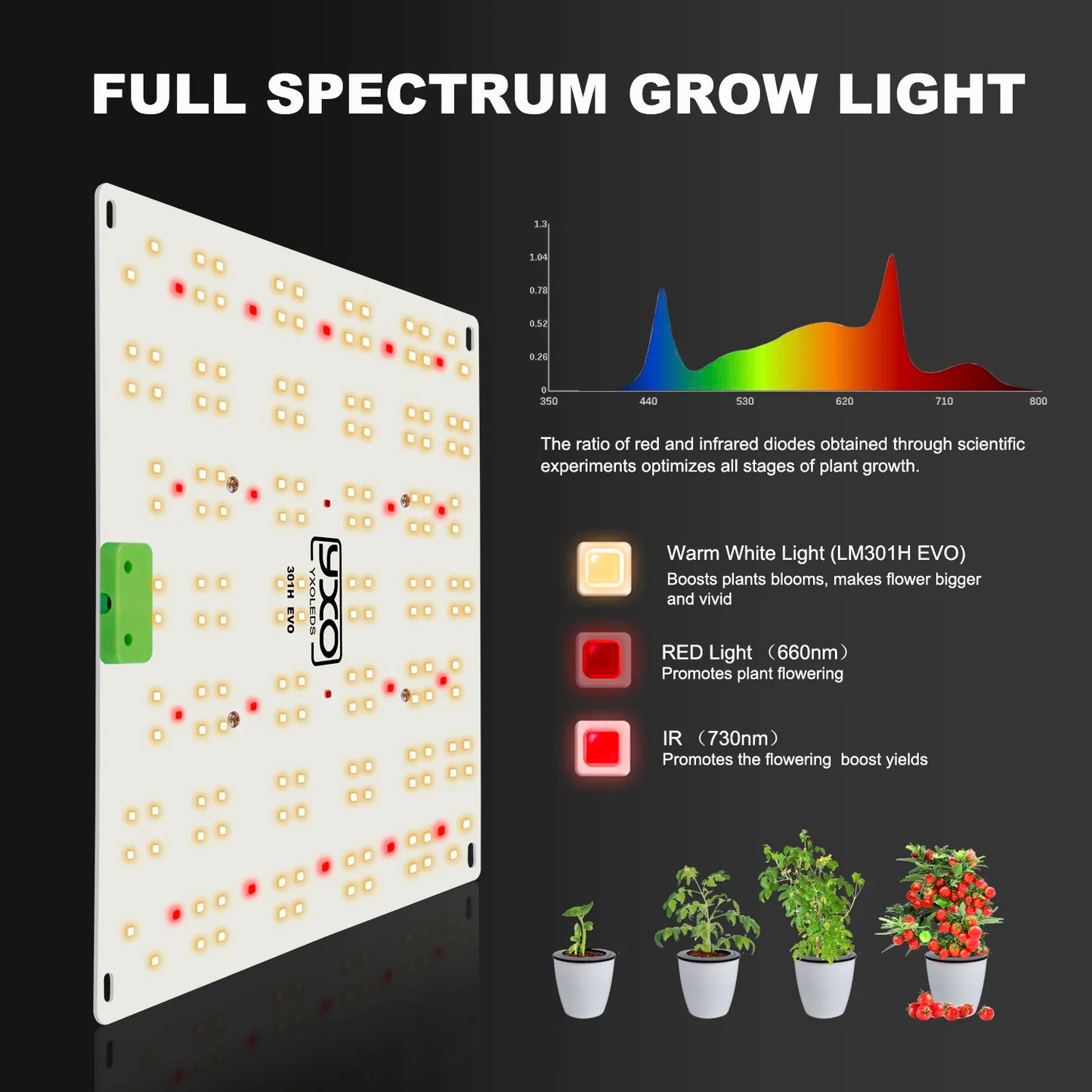 Premium 65W 120W LM301H EVO LED Growlicht