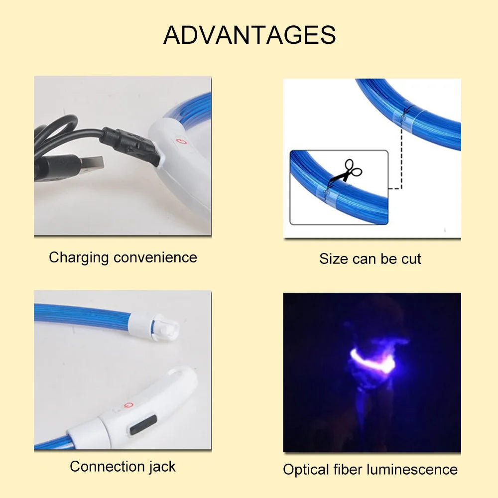 LED Hundehalsband mit 3 Modi / USB