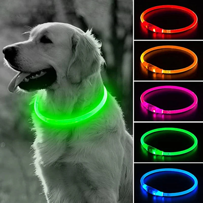 LED Hundehalsband mit 3 Modi / USB