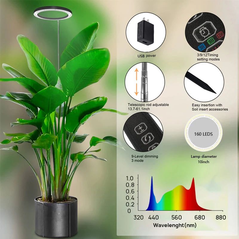 10" LED für Zimmerpflanzen Vollspektrum - Höhenverstellbar mit USB