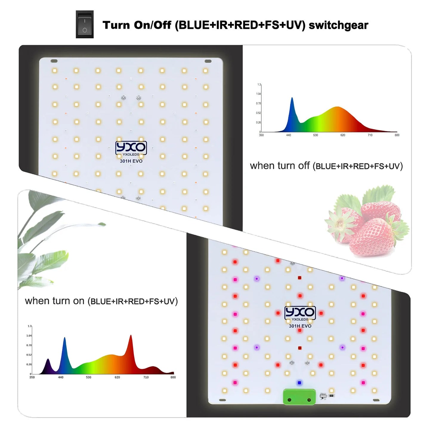 Premium 65W 120W LM301H EVO LED Growlicht