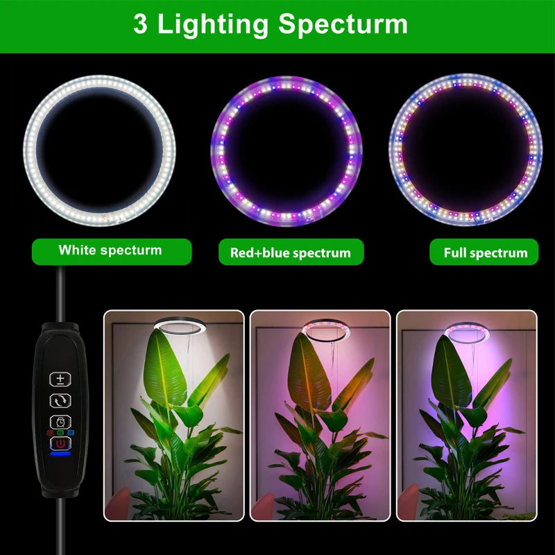 10" LED für Zimmerpflanzen Vollspektrum - Höhenverstellbar mit USB