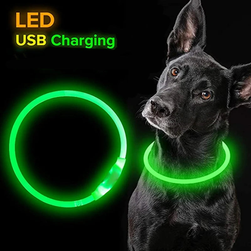 LED Hundehalsband mit 3 Modi / USB