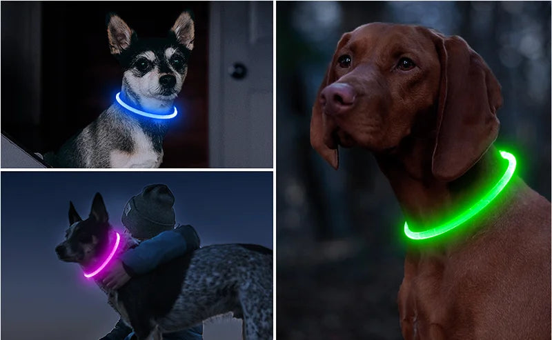 LED Hundehalsband mit 3 Modi / USB