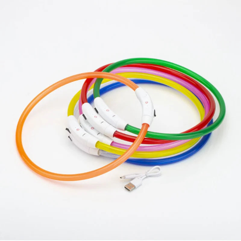 LED Hundehalsband mit 3 Modi / USB