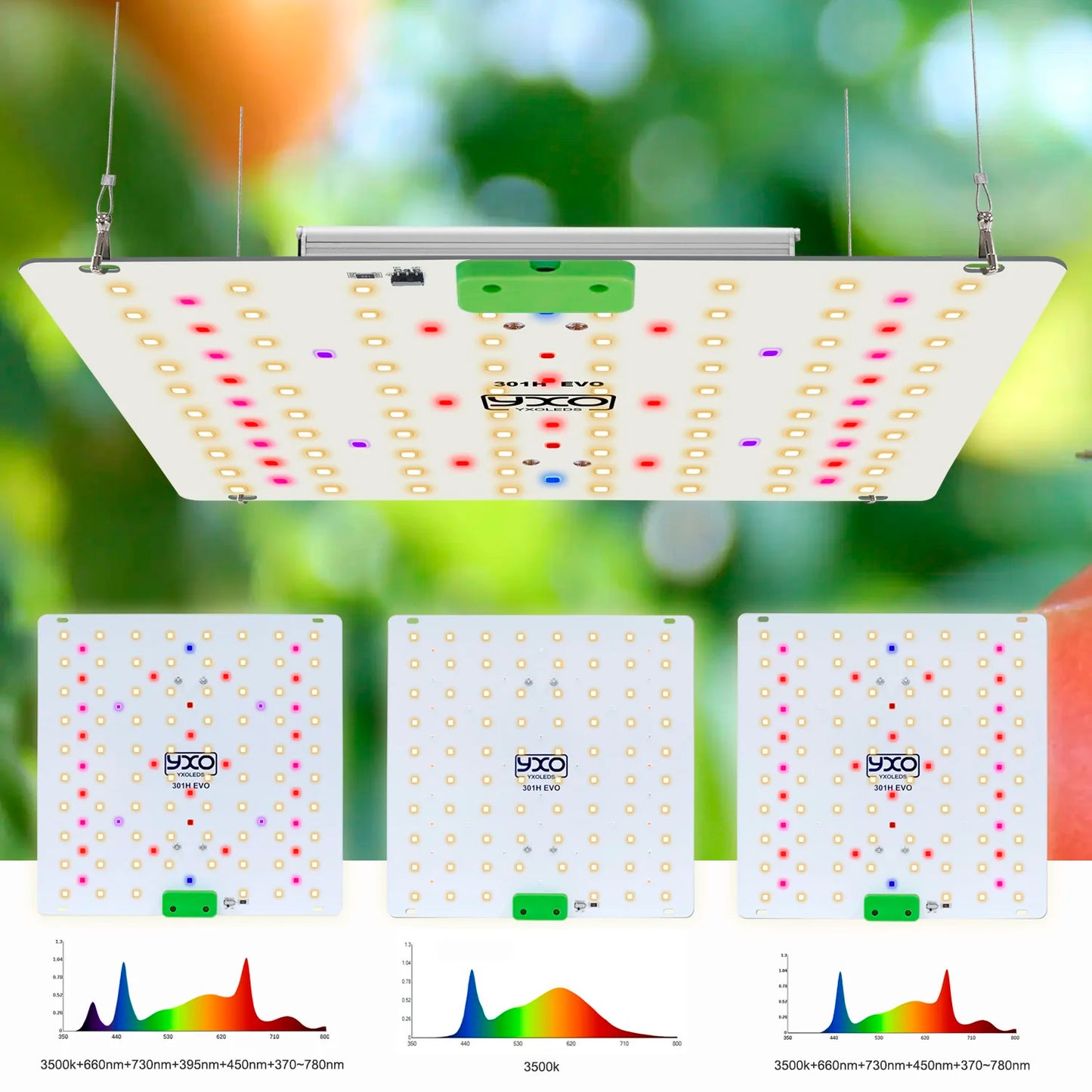 Premium 65W 120W LM301H EVO LED Growlicht