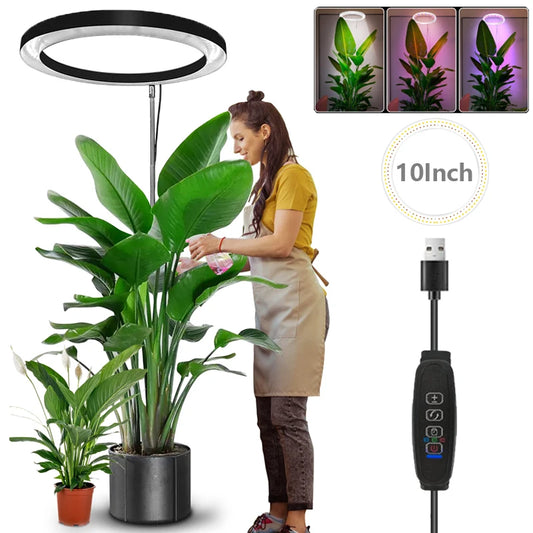 10" LED für Zimmerpflanzen Vollspektrum - Höhenverstellbar mit USB