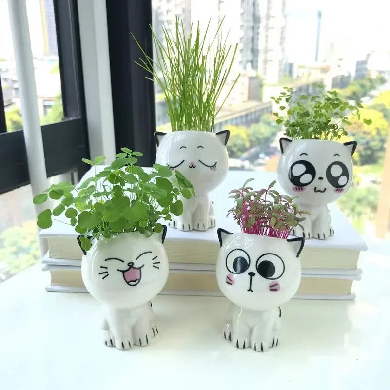 Keramik Mini Cartoon Katzen Pflanzentopf für DIY Projekt