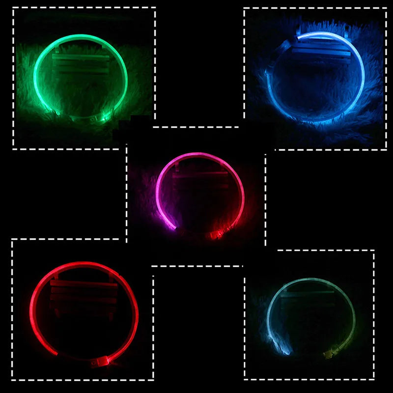 LED Hundehalsband mit 3 Modi / USB