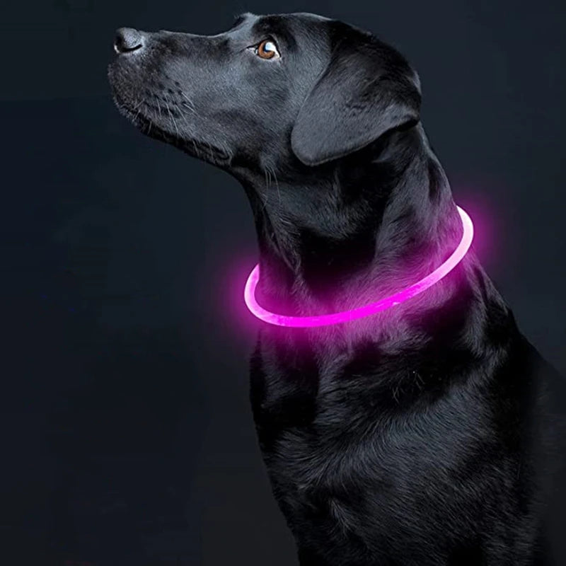 LED Hundehalsband mit 3 Modi / USB