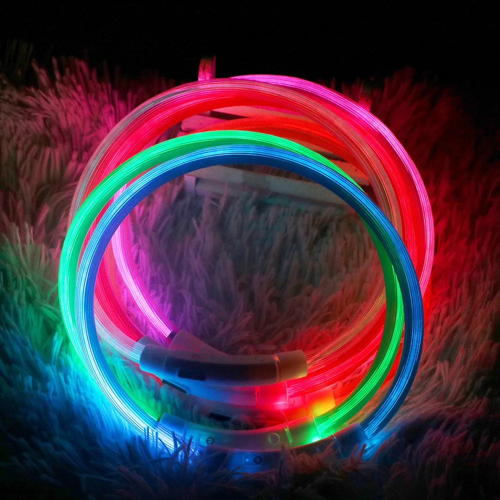 LED Hundehalsband mit 3 Modi / USB