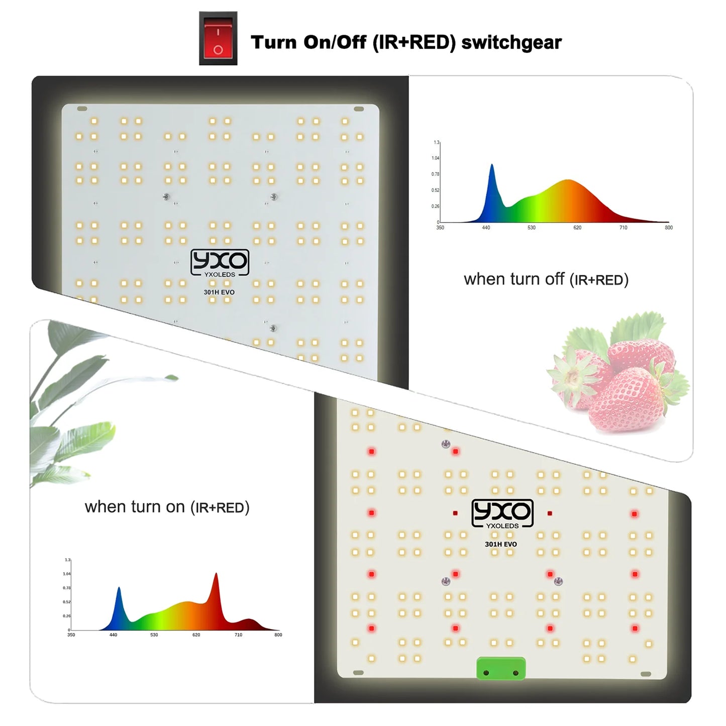 Premium 65W 120W LM301H EVO LED Growlicht