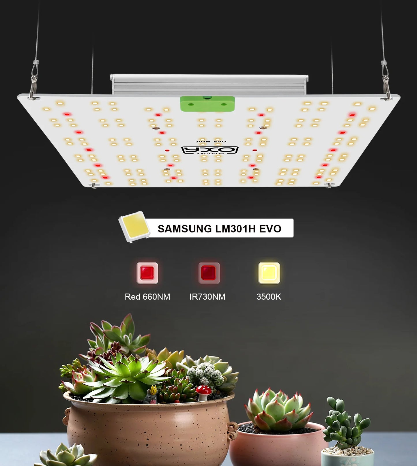 Premium 65W 120W LM301H EVO LED Growlicht